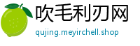 吹毛利刃网